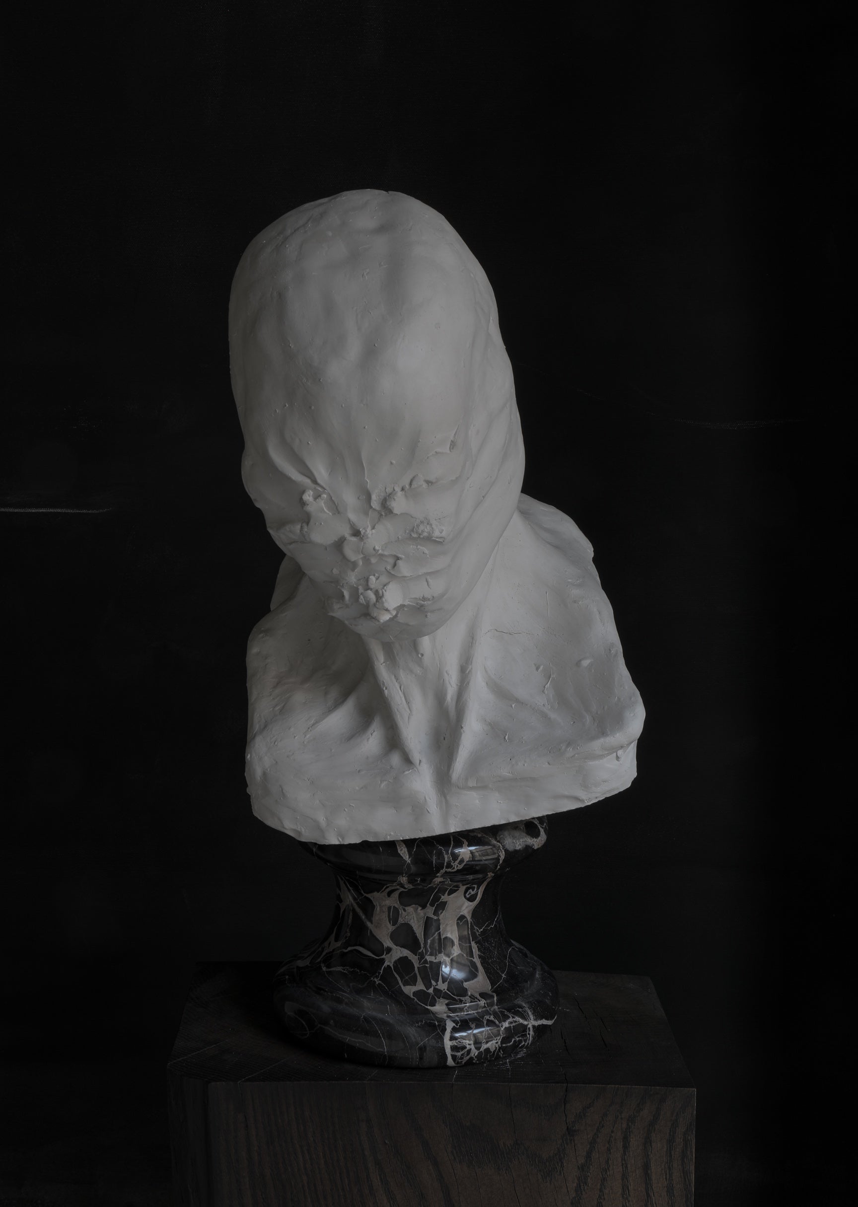 Evolution of Stupidity 01